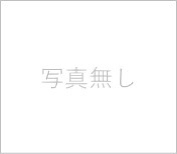画像1: ハンガーパイプ（無塗装品） (1)